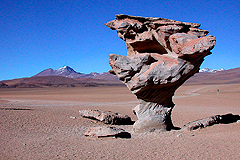 Arbol de Piedra Bolivien 2003