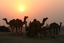 Indien 2008