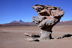 Arbol de Piedra Bolivien