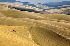 Weidenlandschaft Kirgisistan