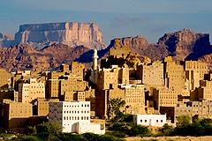Hobban Yemen 2006