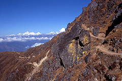 Himalaya Pfad