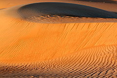 Oman Wahiba Sands 2015
