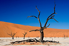 Dead Vlei Namibia 2007