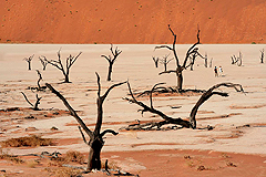 Dead Vlei Namibia 2007