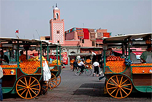 Marrakesh 2005