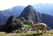 Peru Inkas und Feste
