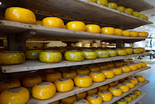 Edam 2026